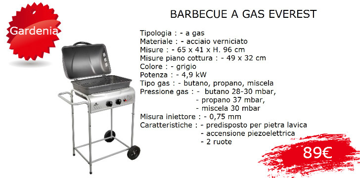 Barbecue a Gas Roma