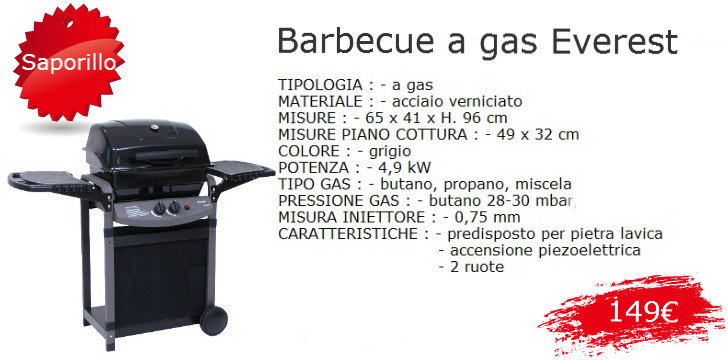 LoyalGas barbecue a gas 